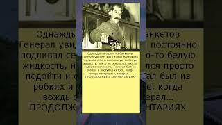 Что Сталин подливал себе в вино на праздниках  И как об этом узнали