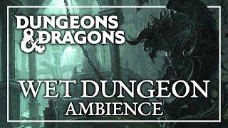 D&D WET DUNGEON AMBIENCE | Dungeons & Dragons RPG Fantasy Tabletop Roleplaying ASMR Sounds