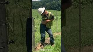 How Does Electric Fences Work #shorts #ytshorts