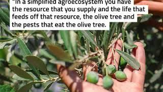 What is regenerative agriculture?