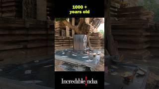 Ramappa Temple Must visit  UNESCO site India #ancienttemples #incredibleindia #shiva #unesco