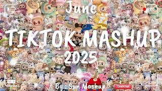 Tiktok Mashup June 2025 (Not Clean)