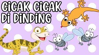 LAGU ANAK CICAK DI DINDINGLAGU ANAK INDONESIA️LAGU ANAK TERPOPULER CICAK MERAYAP️