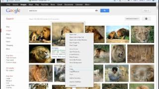 How to Copy and Paste Pictures from Google