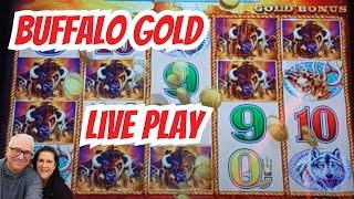 Buffalo Gold Slot Machine live play, with Carmen