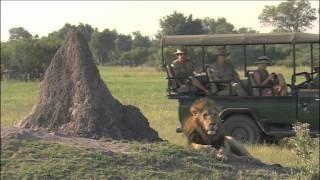 Botswana Safaris, Luxury Botswana Safari Tours
