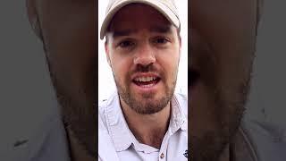 VIRTUAL SAFARI: Lions vs. Elephant!