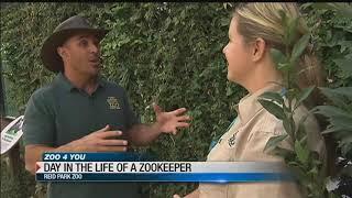 Zoo 4 You: Day in the life of a zookeeper