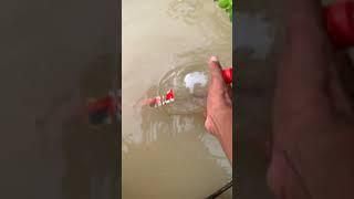 #diy #fishing #bamboo1 #seafood #primitiveplus #aquaculture #satisfying #fishfarming #experim