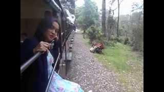 rozita rohaizad on puffin billy