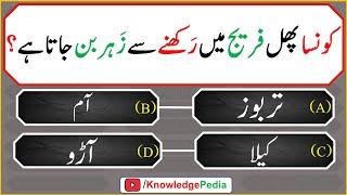 islami Urdu Paheliyan | Islamic Riddles | اسللامی سوال جواب اور معلومات  | islamic  Questions 621