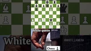 If this hurts your ego, good. You needed it. 🩻 #chess#rook#queen#subscribe #viralvideo#carlsen