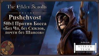 50лвл Пушехвостка против Групового Босса - Без ЧП, Без Скилов, Почти без Шансов...