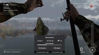 FishingPlanet желтый окунь