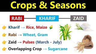 Crops & Seasons In India | Rabi, Kharif, Zaid Crops | UPSC, SSC CGL, CHSL, Bank & Railway |Indologus