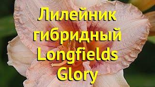 Лилейник гибридный Лонгфилдс Глори. Краткий обзор, описание hemerocallis Longfields Glory