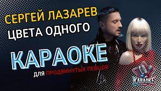  Сергей Лазарев - Цвета одного | Караоке для опытных исполнителей с текстом 