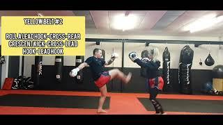Yellow Belt #2