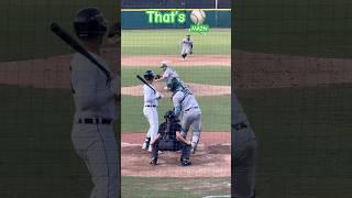 That’s ️  Just baseball… Gotta love this game!  #Love #Baseball #MA2tv #MILB