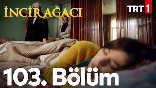 İncir Ağacı 103. Bölüm