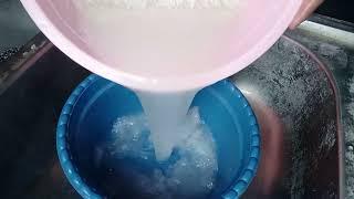 Use rice water for any plants as natural fertilizer   Free homemade fertilizer