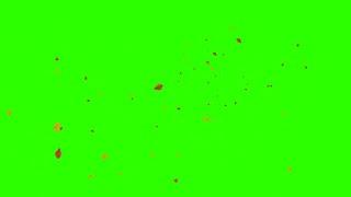 Leaves Flying #2 / Green Screen - Chroma Key