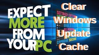 Clear Windows Update Cache on Windows 10/11! Easy Fix Tutorial!