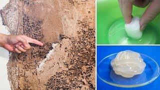 How To Kill Termites And Get Rid Of Them Forever