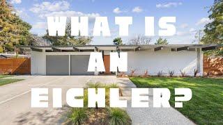 What is an Eichler?