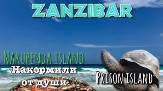 Танзания Остров Prison / Nakupenda island / Stone Town /Наелись лобстеров