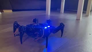 Freenove Hexapod DIY Eyes