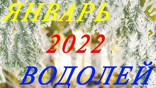 ВОДОЛЕЙ. ТАРО-ПРОГНОЗ на ЯНВАРЬ 2022 г.