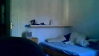 ratarata2007's webcam video mié 03 feb 2010 03:48:38 PST