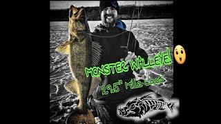 30 inch Walleye??? Mille Lacs GIANT Walleye so close!! Hawg Hunterz