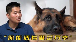 主人托朋友照顧狗，24小時卻被通知杜賓犬死了，剩下的德牧陷入重度焦慮