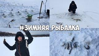 Пробую впервые: Зимняя рыбалка на щуку в г. Нягань / Влог январь 2019 / Инструкция как ловить рыбу!