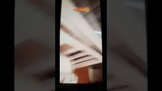 bigo live hot nudu girls show up videos  18+only