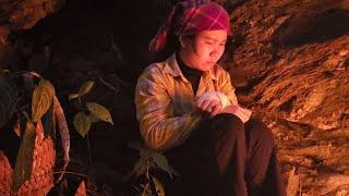 A young girl who went to pick herbs was captured by a forest ghost overnight? lý tử lindan