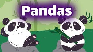 Pandas for Kids | Homeschool Pop