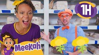 Blippi & Meekah Make Messy Clay Art!  | 1 HR OF MEEKAH! | Educational Videos for Kids