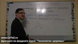 Как Бороться с Анемией и Хроническим Синдромом Усталости. из вводного курса "Технологии здоровья"