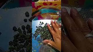 Nim patar bori #viralvideo