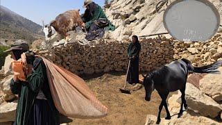 Iran Nomadic Life | Cleaning Sheep Shelters and Cooking with Love in the Heart of Nature