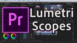 How to Use/Read Lumetri Scopes in Premiere Pro CC 2020