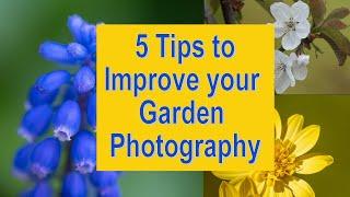 5 Tips to improve your Garden Photography