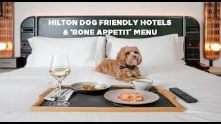 Hilton Dog Friendly Hotels & 'Bone Appetit' Dog Menu