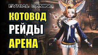 КОТОВОД АЛЛОЧКА В BLADE AND SOUL РЕЙДЫ И АРЕНА