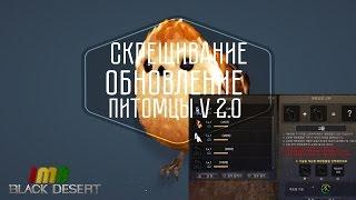 Black Desert - Питомцы. Обновление скрещивания и всей системы бонусов