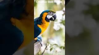 ️Macaw Inspired Structure | ম্যাকাও পাখির আদলে গড়া এক সৃজনশীল স্থাপত্য।#ideas #macaw #architecture