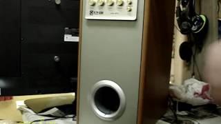 Sven Gembird WCS-IHOO MT 5.1 Subwoofer  Ремонт сабвуферов SVEN